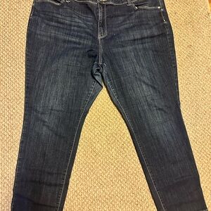 Simply Vera Vera Wang Blue Skinny Jeans used size 22WS